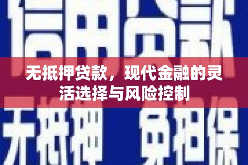 水林无抵押贷款，现代金融的灵活选择与风险控制