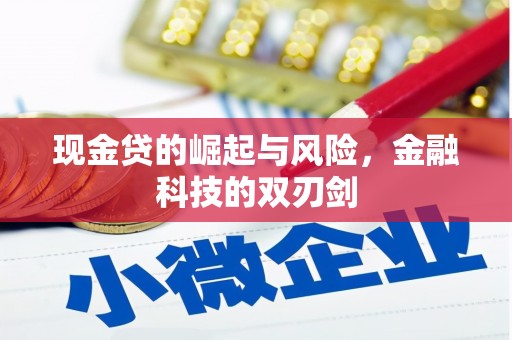 水林现金贷的崛起与风险，金融科技的双刃剑
