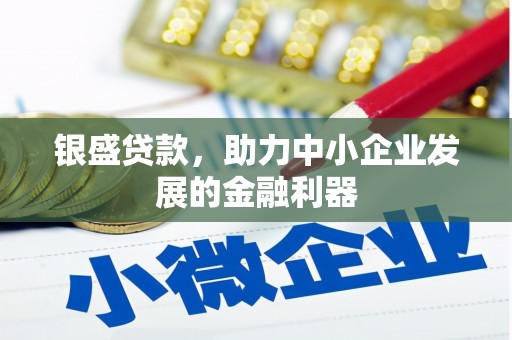 水林银盛贷款，助力中小企业发展的金融利器