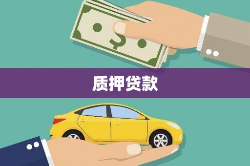 水林质押贷款