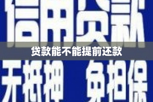 水林贷款能不能提前还款