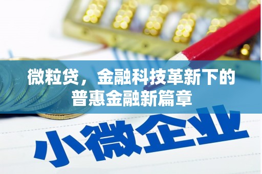 水林微粒贷，金融科技革新下的普惠金融新篇章