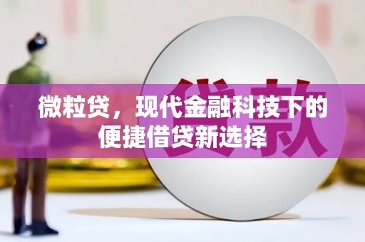 水林微粒贷，现代金融科技下的便捷借贷新选择