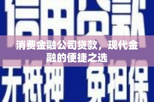 水林消费金融公司贷款，现代金融的便捷之选