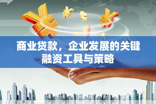 水林商业贷款，企业发展的关键融资工具与策略