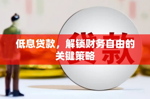水林低息贷款，解锁财务自由的关键策略