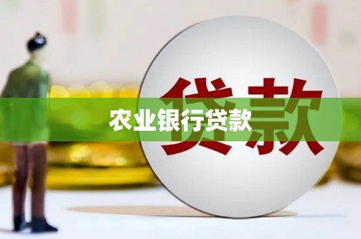 水林农业银行贷款