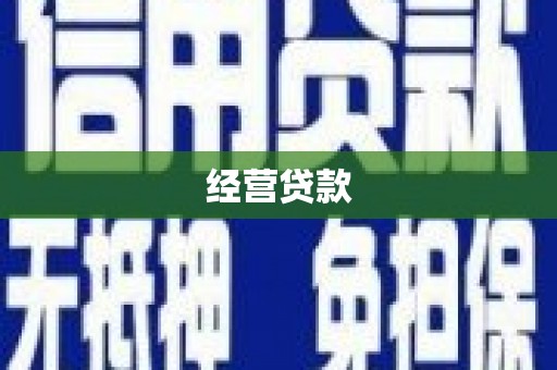 水林经营贷款