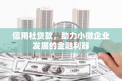 水林信用社贷款，助力小微企业发展的金融利器