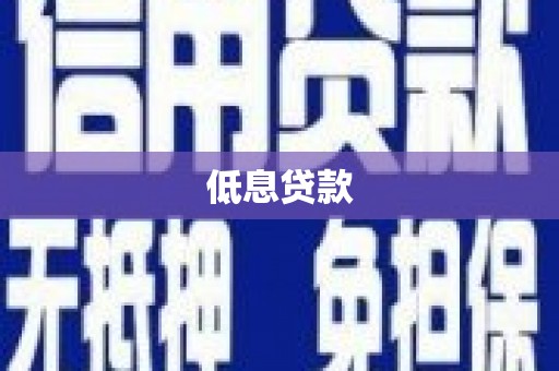 水林低息贷款