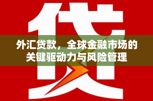 水林外汇贷款，全球金融市场的关键驱动力与风险管理