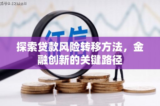 水林探索贷款风险转移方法，金融创新的关键路径