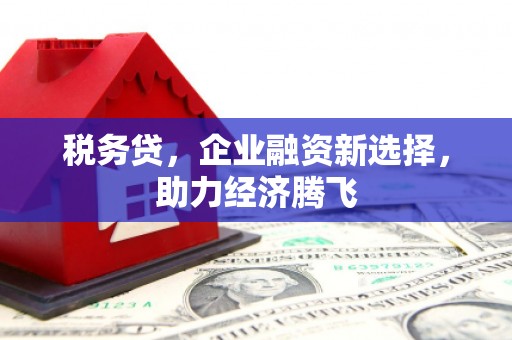 水林税务贷，企业融资新选择，助力经济腾飞
