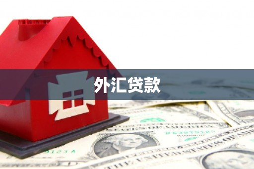 水林外汇贷款