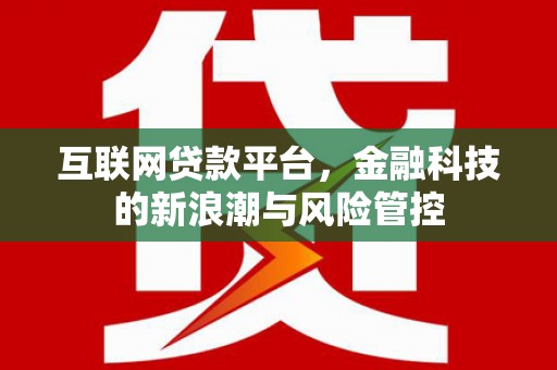 水林互联网贷款平台，金融科技的新浪潮与风险管控