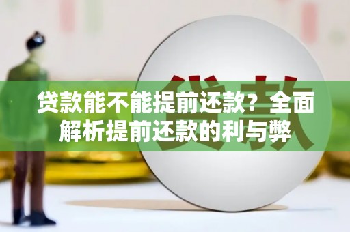 水林贷款能不能提前还款？全面解析提前还款的利与弊