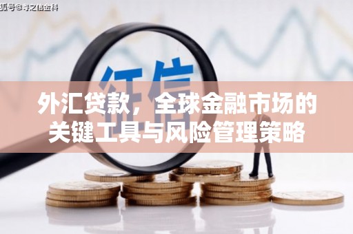 水林外汇贷款，全球金融市场的关键工具与风险管理策略