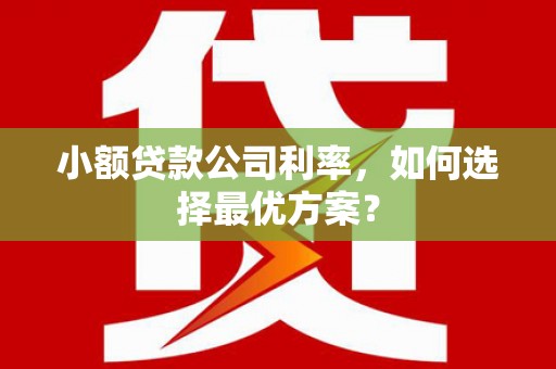水林小额贷款公司利率，如何选择最优方案？