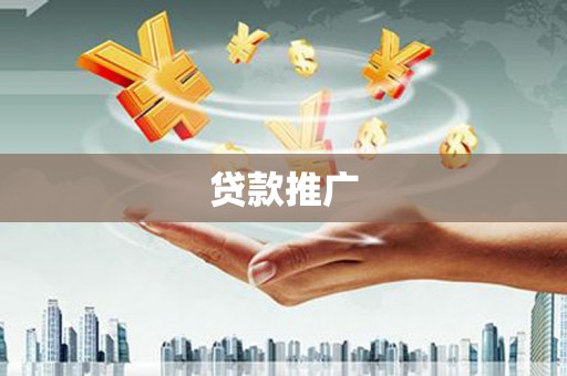 水林贷款推广