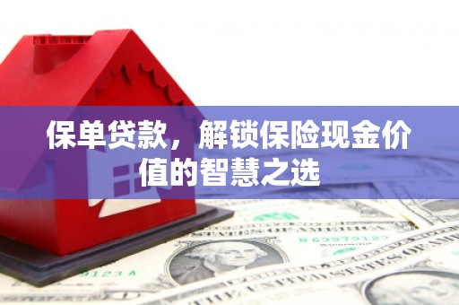 水林保单贷款，解锁保险现金价值的智慧之选