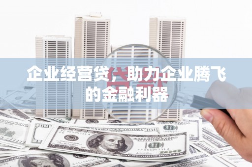 水林企业经营贷，助力企业腾飞的金融利器