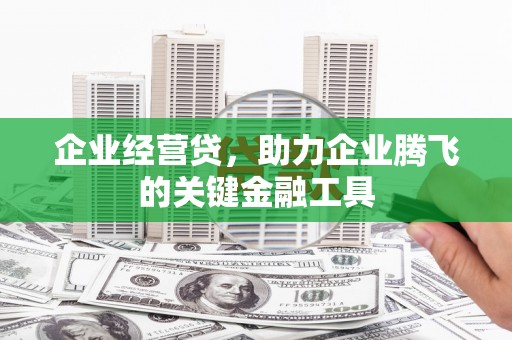 水林企业经营贷，助力企业腾飞的关键金融工具