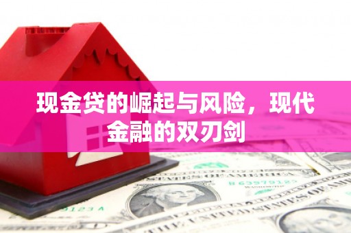 水林现金贷的崛起与风险，现代金融的双刃剑