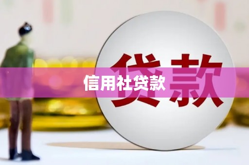 水林信用社贷款