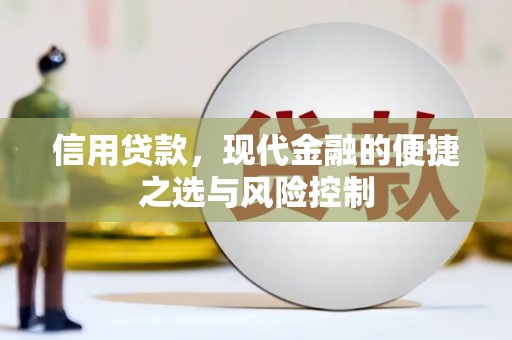 水林信用贷款，现代金融的便捷之选与风险控制