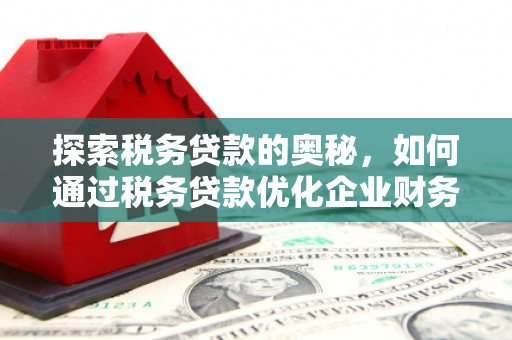 水林探索税务贷款的奥秘，如何通过税务贷款优化企业财务