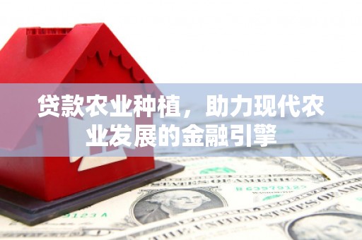 水林贷款农业种植，助力现代农业发展的金融引擎