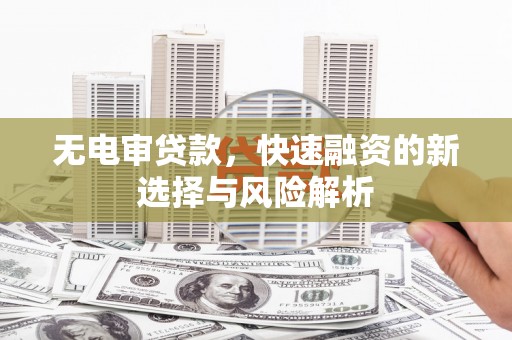水林无电审贷款，快速融资的新选择与风险解析