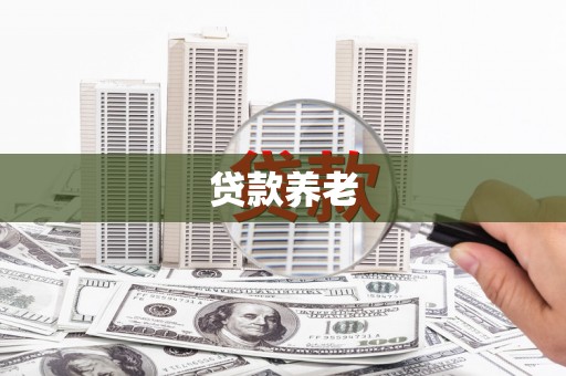 水林贷款养老