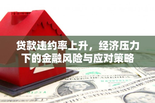 水林贷款违约率上升，经济压力下的金融风险与应对策略