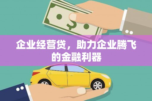 水林企业经营贷，助力企业腾飞的金融利器