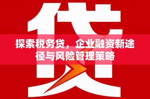 水林探索税务贷，企业融资新途径与风险管理策略