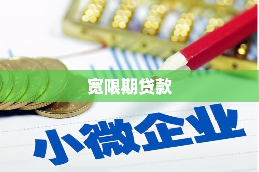 水林宽限期贷款