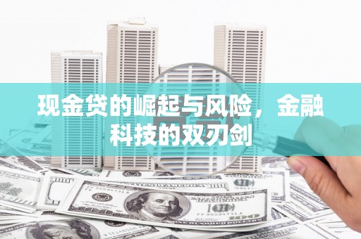 水林现金贷的崛起与风险，金融科技的双刃剑