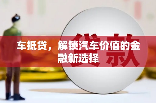 水林车抵贷，解锁汽车价值的金融新选择
