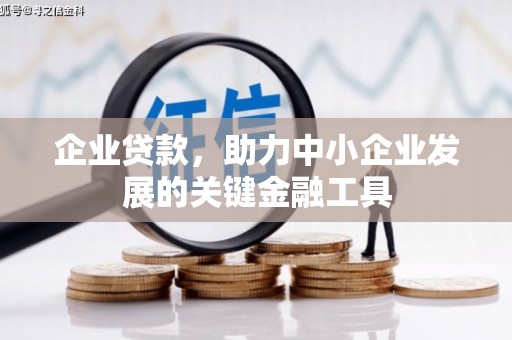 水林企业贷款，助力中小企业发展的关键金融工具