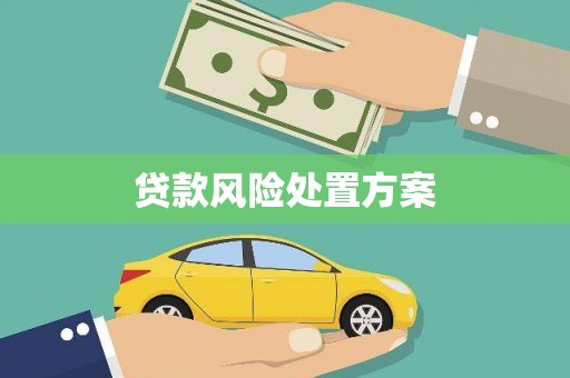水林贷款风险处置方案