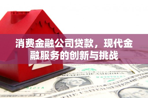 水林消费金融公司贷款，现代金融服务的创新与挑战
