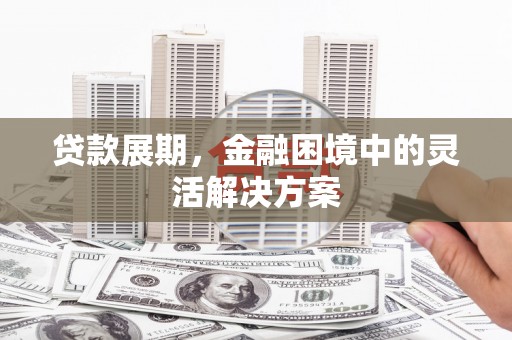 水林贷款展期，金融困境中的灵活解决方案