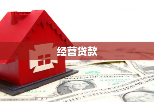 水林经营贷款
