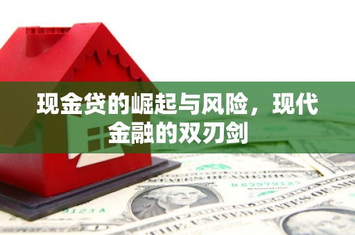 水林现金贷的崛起与风险，现代金融的双刃剑