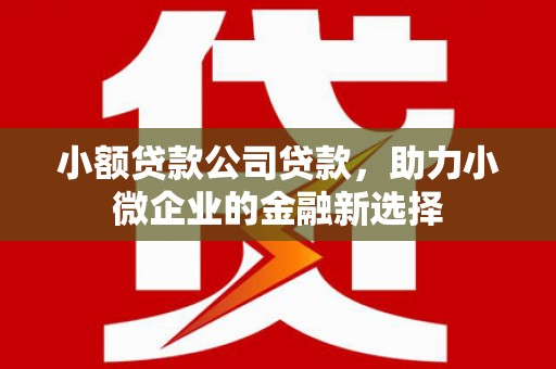 水林小额贷款公司贷款，助力小微企业的金融新选择