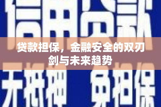 水林贷款担保，金融安全的双刃剑与未来趋势