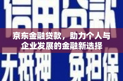 水林京东金融贷款，助力个人与企业发展的金融新选择