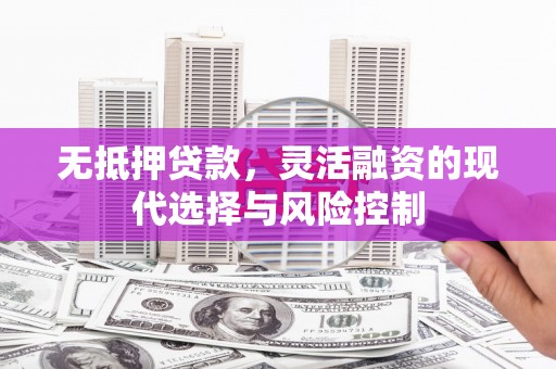 水林无抵押贷款，灵活融资的现代选择与风险控制