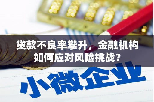 水林贷款不良率攀升，金融机构如何应对风险挑战？